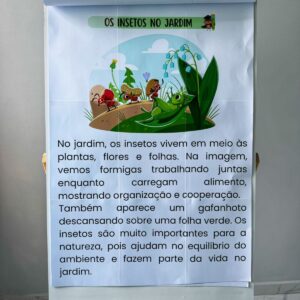 📚 12 Textos para Leitura e Interpretação – 3º ao 5º Ano
